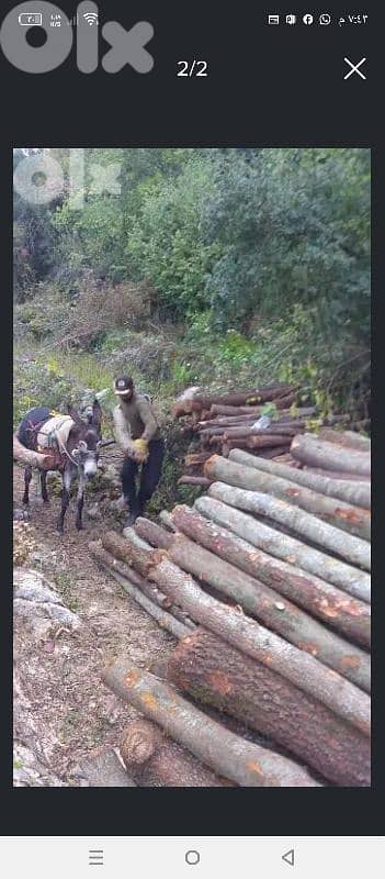 غزير كسروان 10