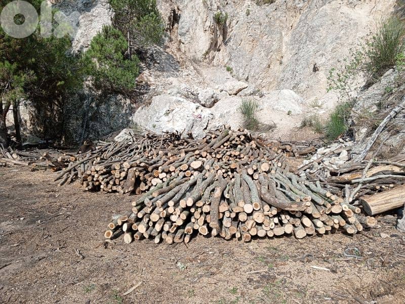 غزير كسروان 11