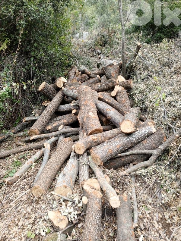 غزير كسروان 13