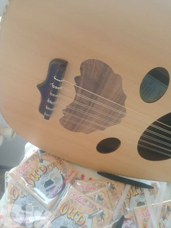 عود زرياب0 موديل عراقي جوز و ارز 2