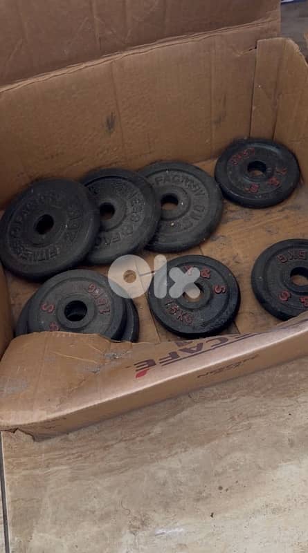 22 kg of weights and dumbbells 100$ 1