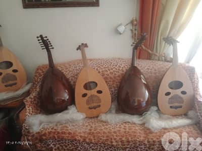 عود اكبر و افضل تشكيله اعواد  البداية  والتعليم والتدريب بأفضل الأسعار