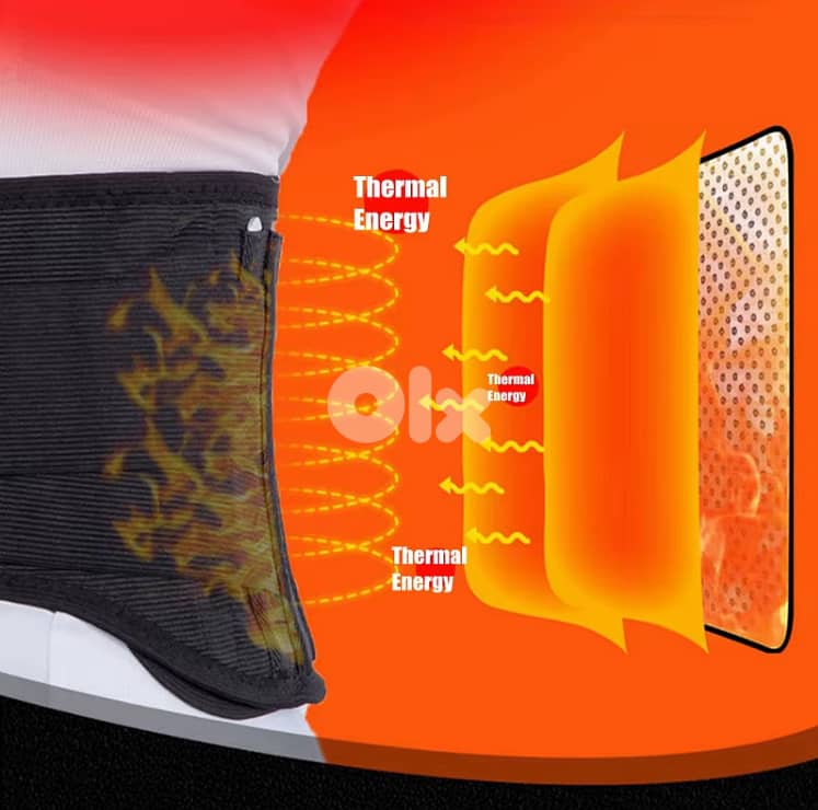Lumbar Support Belt 2
