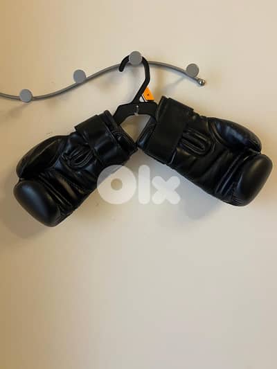 KickBoxing Gloves