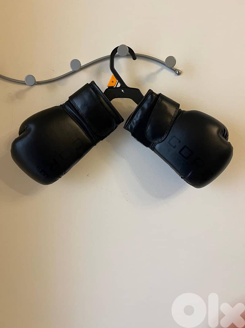 KickBoxing Gloves 1
