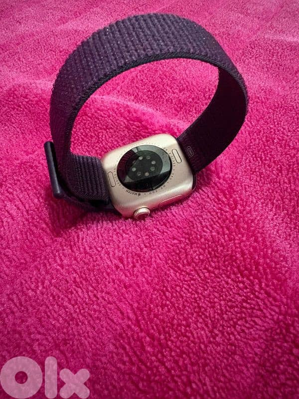 Titanium Apple Watch 5