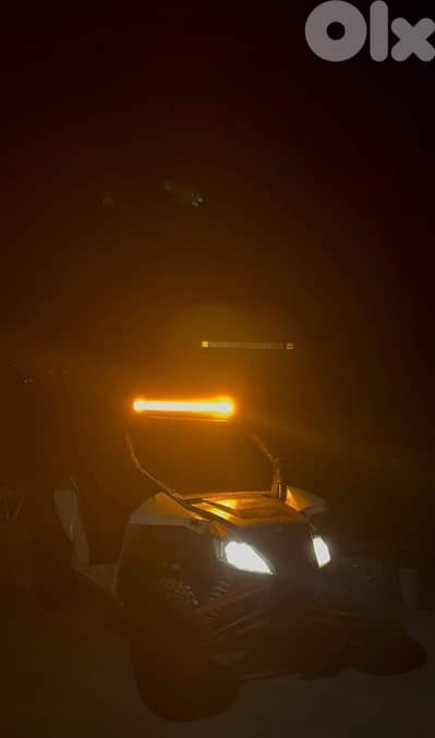 Arctic cat wildcat buggy