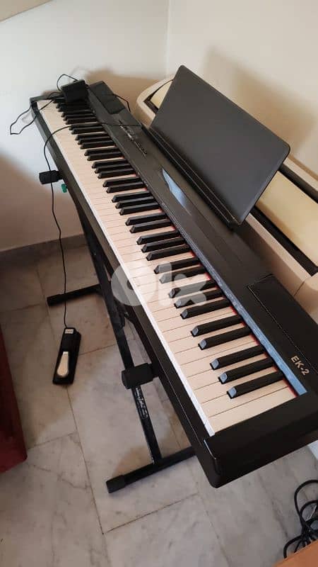 Duoliemi Piano  électrique 7 octaves 1