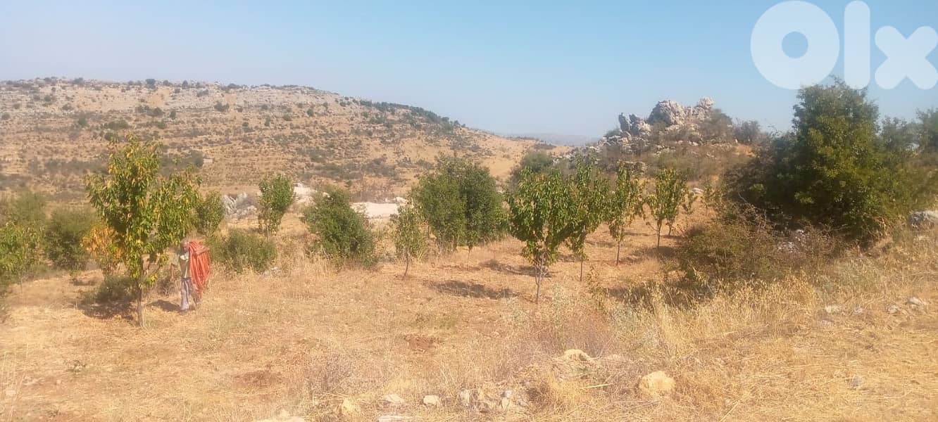 4100 Sqm | Land for sale in Chouf 1