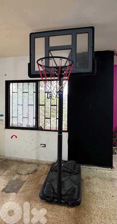 Basketball Hoop + FREE Mikasa Ball for $120