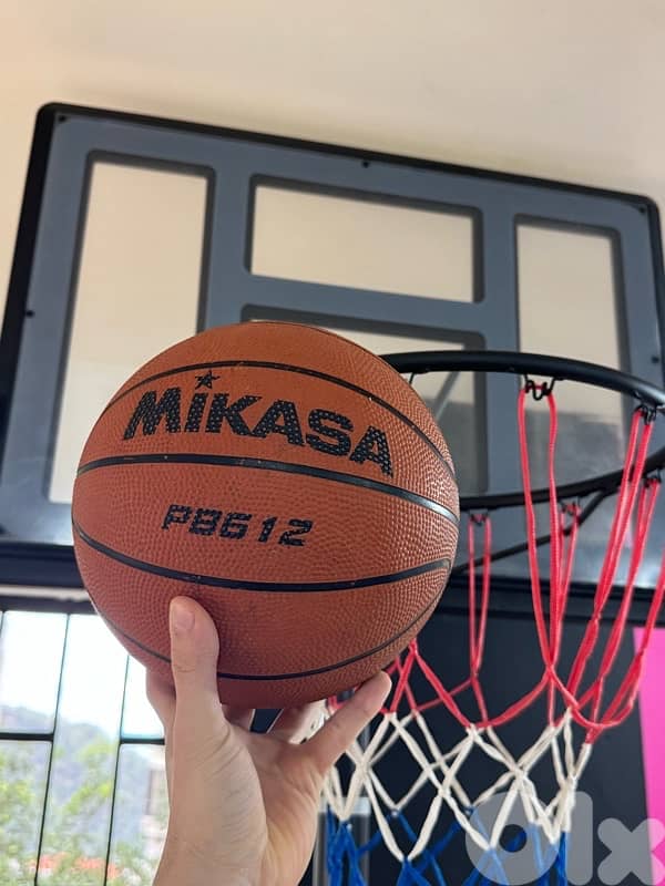 Basketball Hoop + FREE Mikasa Ball for $120 1