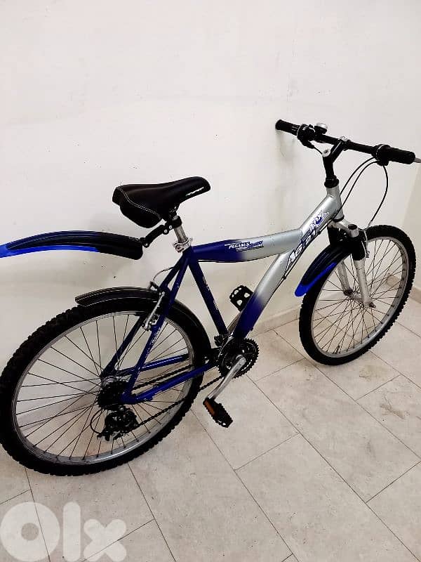 بسكليت Germany 0