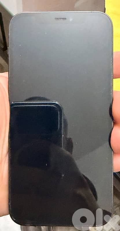 12 pro 256 gb for sale 2