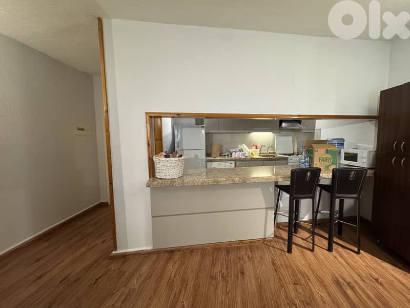 Furnished renovated chalet for sale in Satellity FIR2891 3