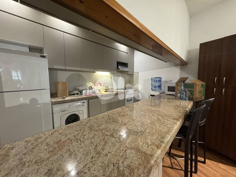 Furnished renovated chalet for sale in Satellity FIR2891 17