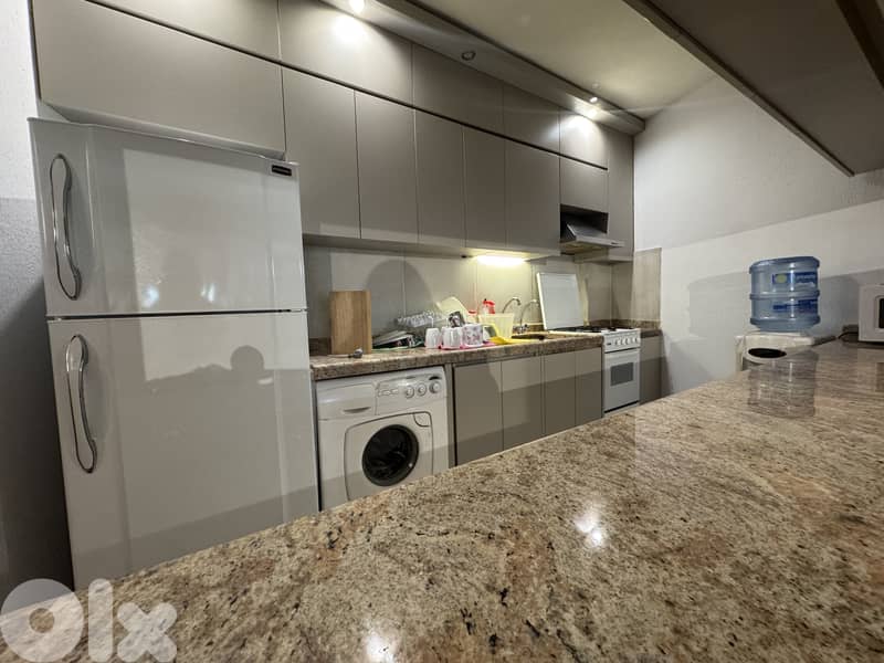 Furnished renovated chalet for sale in Satellity FIR2891 18