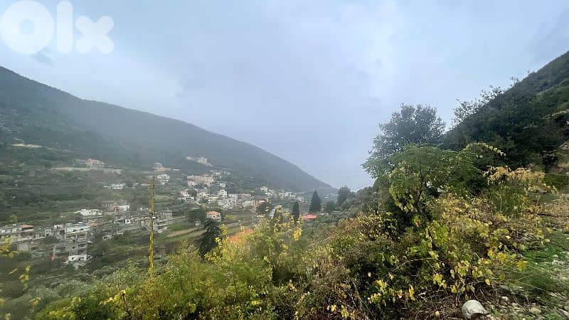 RWB325CA - Land for sale in Jbeil - Haqel 0