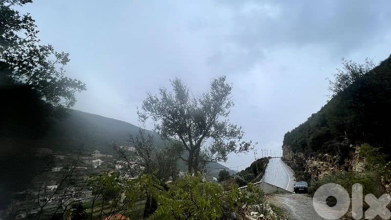 RWB325CA - Land for sale in Jbeil - Haqel 1