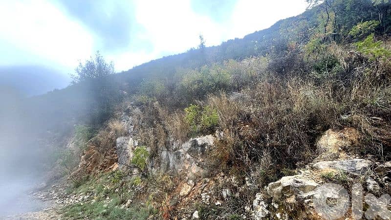 RWB325CA - Land for sale in Jbeil - Haqel 2