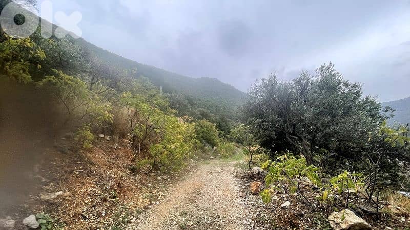 RWB325CA - Land for sale in Jbeil - Haqel 3