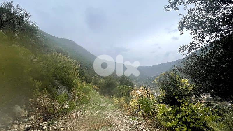 RWB325CA - Land for sale in Jbeil - Haqel 4