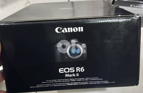 CANON EOS R6 MARK II Body