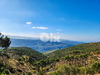 THE MOST BEAUTIFUL VIEW |