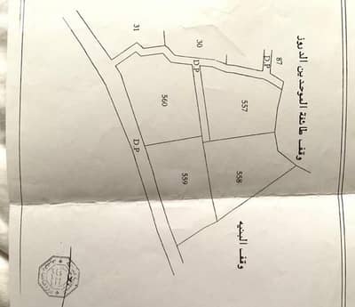 ارض كاشفة ومميزة للبيع في البنّيْ