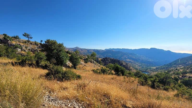 lands for sale in tannourine أرض للبيع في تنورين 3
