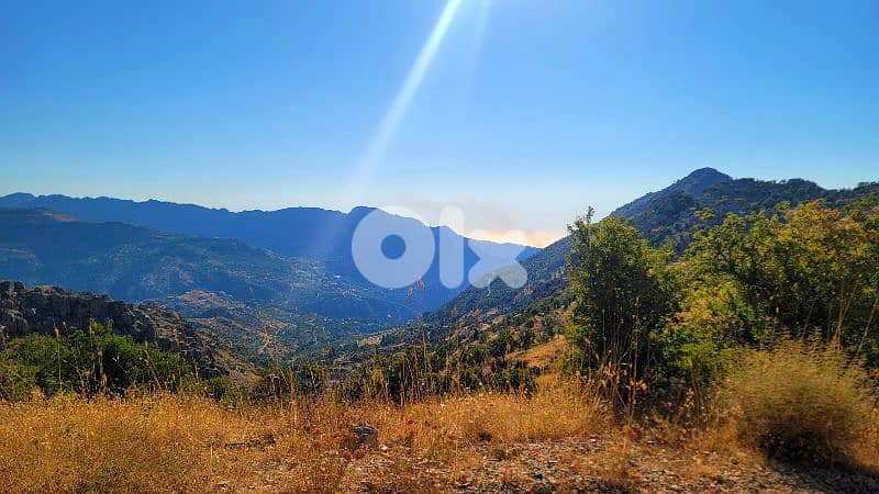 lands for sale in tannourine أرض للبيع في تنورين 6