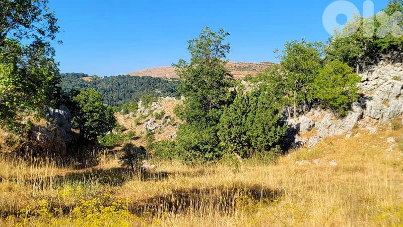 lands for sale in tannourine أرض للبيع في تنورين 7