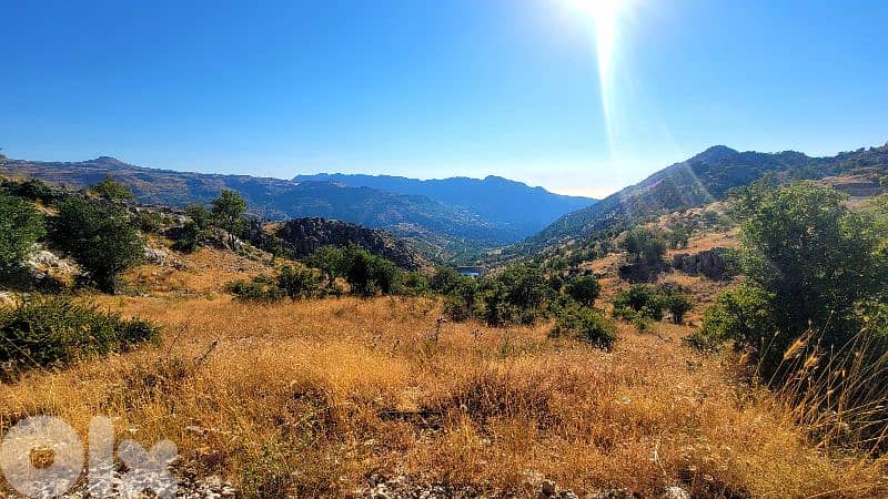 lands for sale in tannourine أرض للبيع في تنورين 8