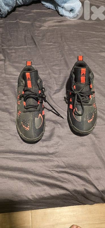 Adidas Pro N3XT shoe