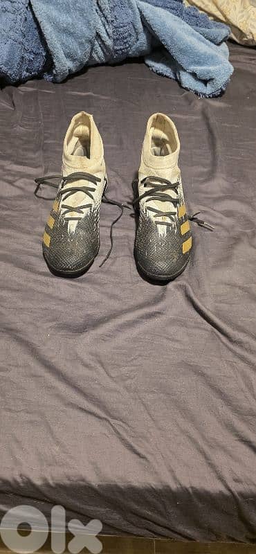 Adidas raptor shoe 1