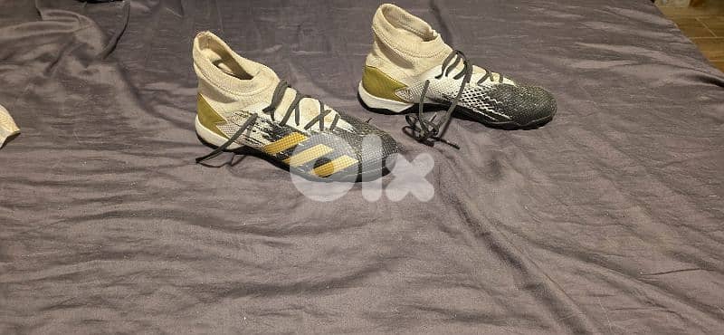 Adidas raptor shoe 2