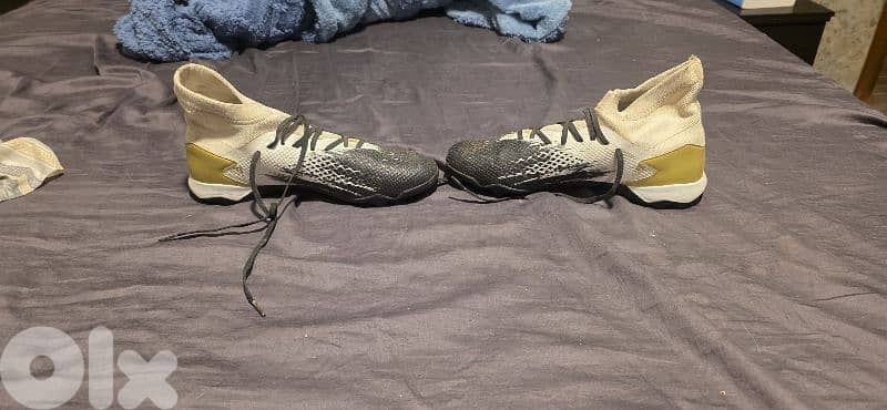 Adidas raptor shoe 4