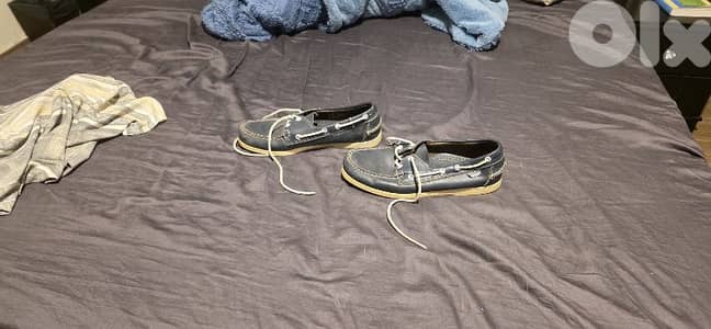sebago docksides shoes