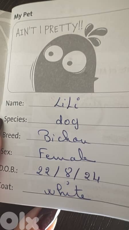 bichou ktir mahdoume w zakie ekhda kel l vaccine 2