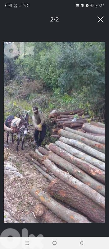 حطب للتدفئة 10