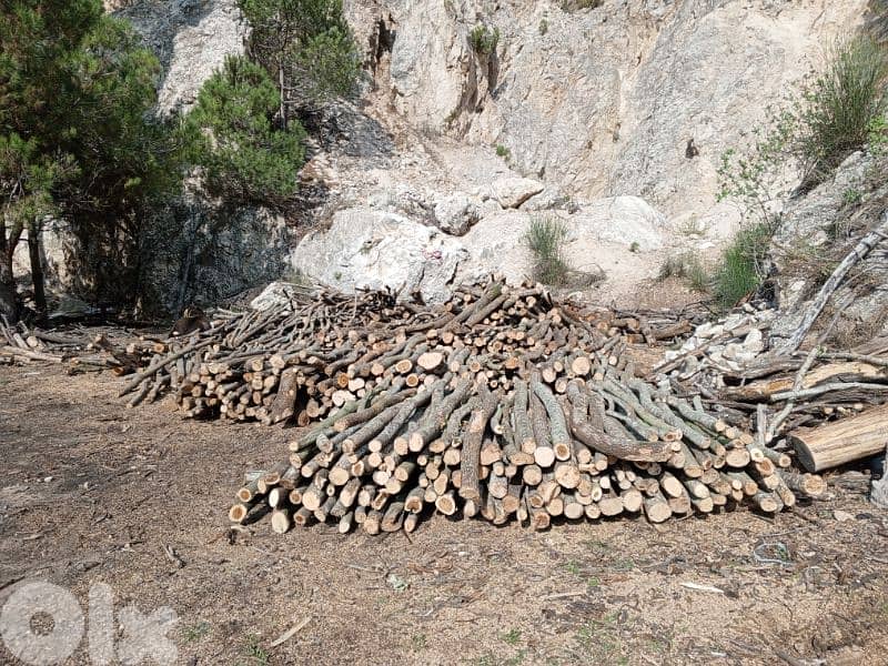 حطب للتدفئة 11