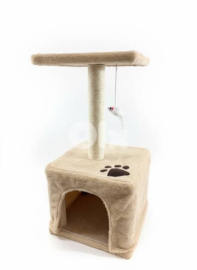 Small Cat Scratching House Tower