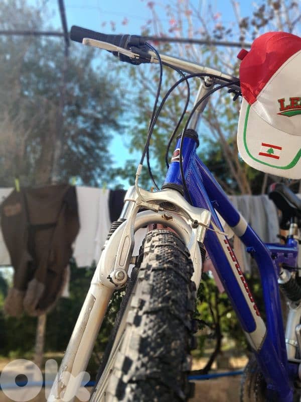 عدلون حد  ملعب المحطة 1