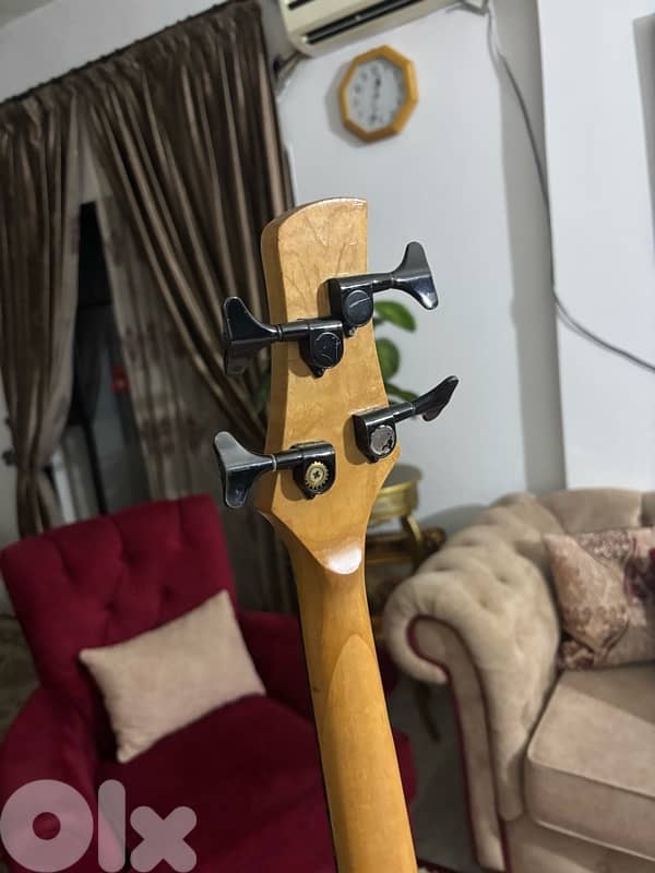 bass guitar spider 4