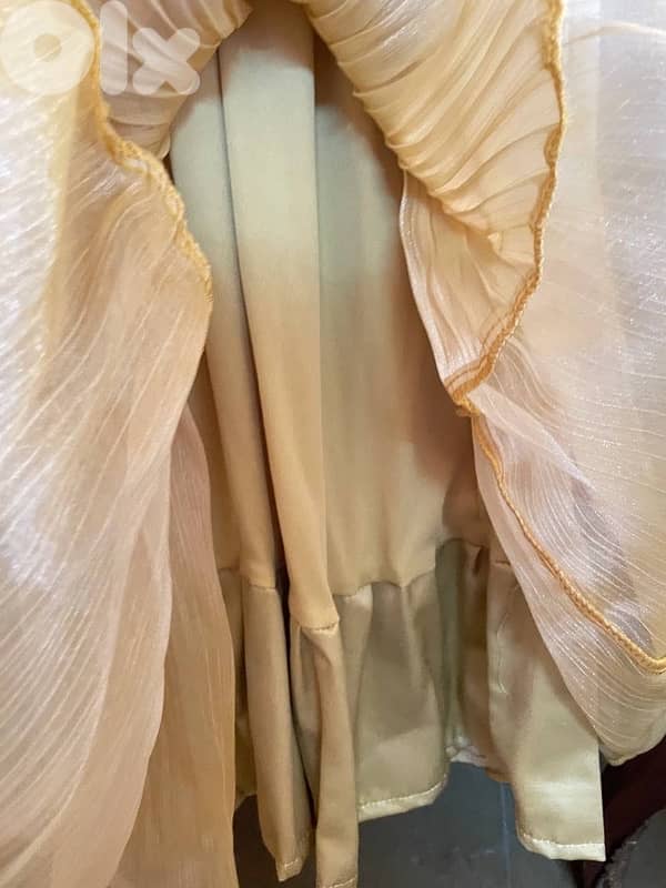 Evening dress new in tag 2