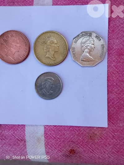 المتن لبنان