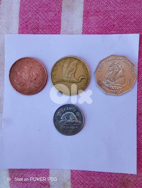 المتن لبنان 1