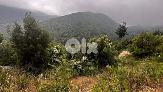 Land For Sale In Hiyata - أرض للبيع في حياطا
