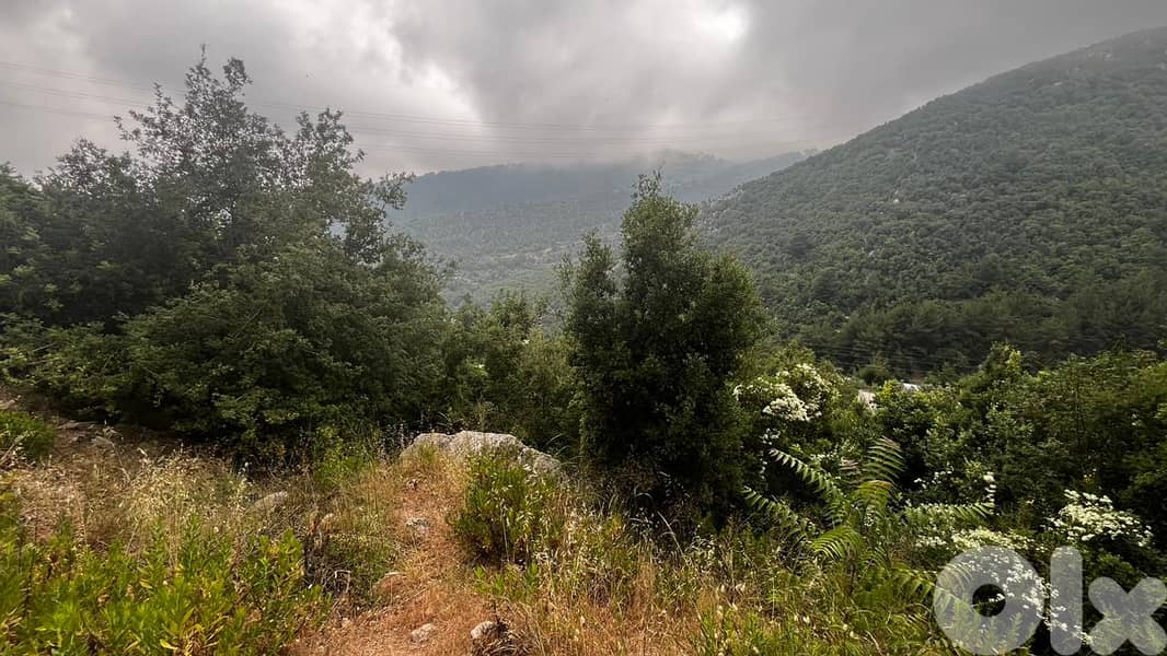 Land For Sale In Hiyata - أرض للبيع في حياطا 1