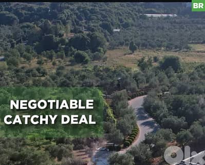 agricultural land in Kaftoun, Koura/كفتون، الكورة  REF#BR130327