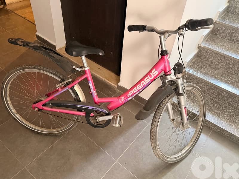 two adults bicycle 1